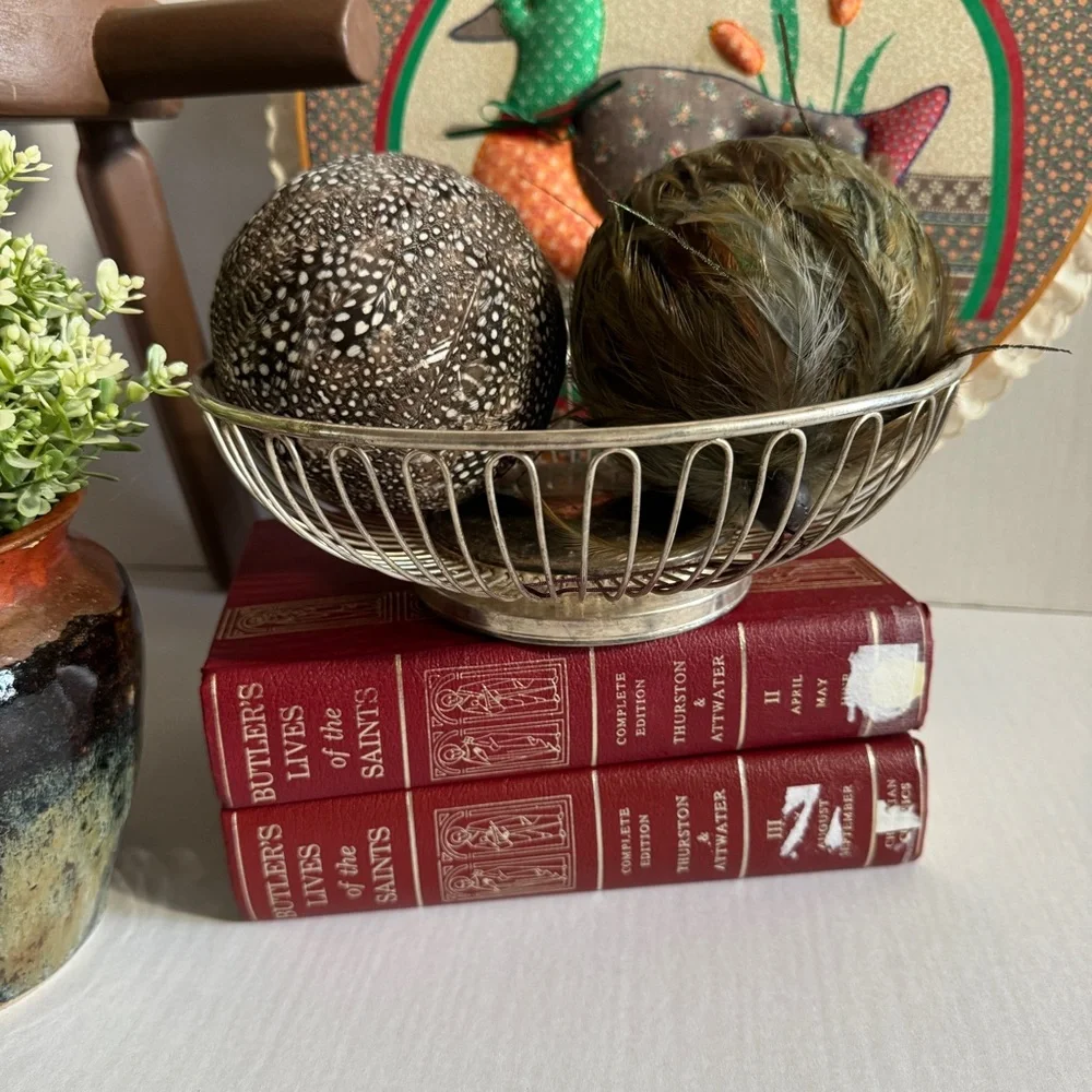 Vintage Silver Plated on Steel Wire Fruit Basket Mid-century Modern Cottagecore
